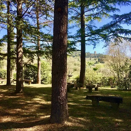 I Nidi Di Cortona